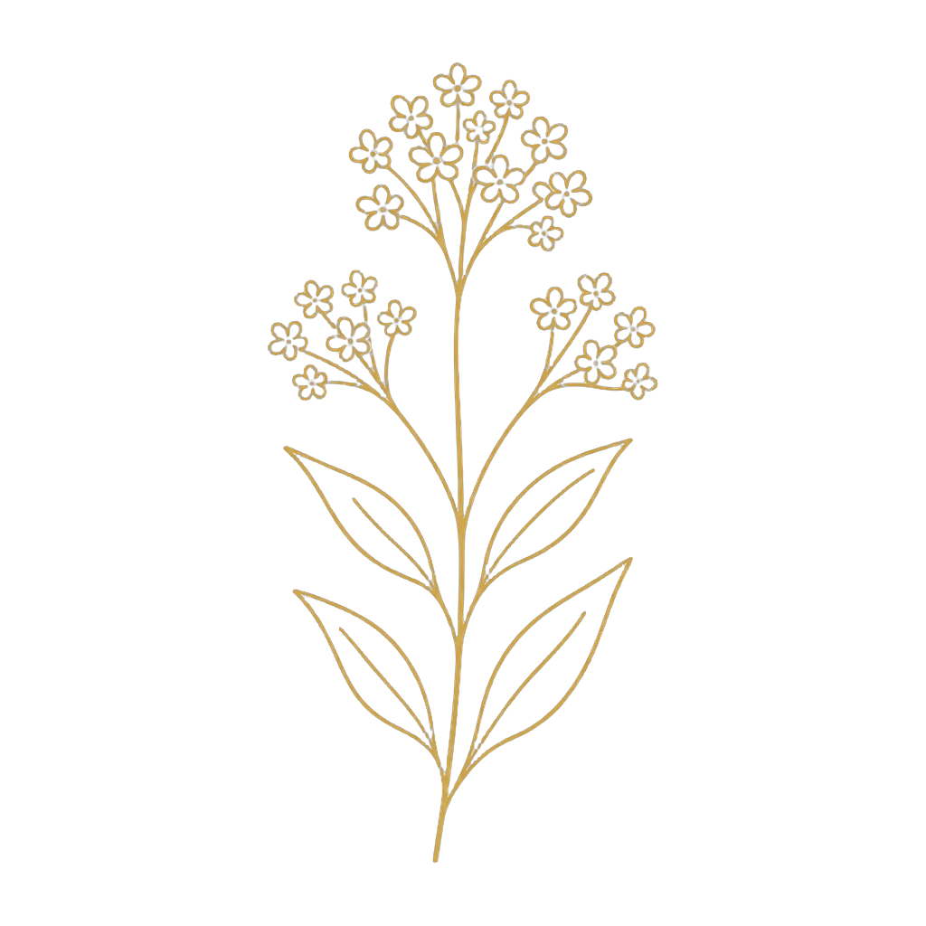 Valeriana